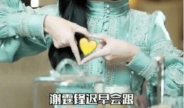 皮皮朱最新爆料,揭秘娱乐圈惊人内幕